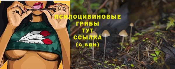 стафф Покачи