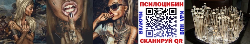 это телеграм  Красково  Псилоцибиновые грибы Magic Shrooms  где купить  